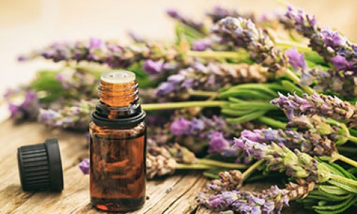 Aromatherapy Workshop Cover Image