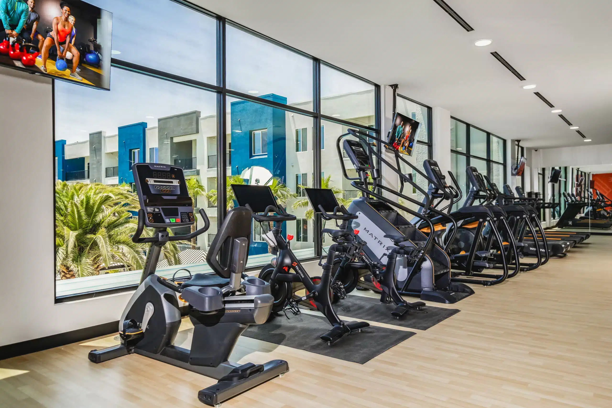 several cardio machines facing a large window