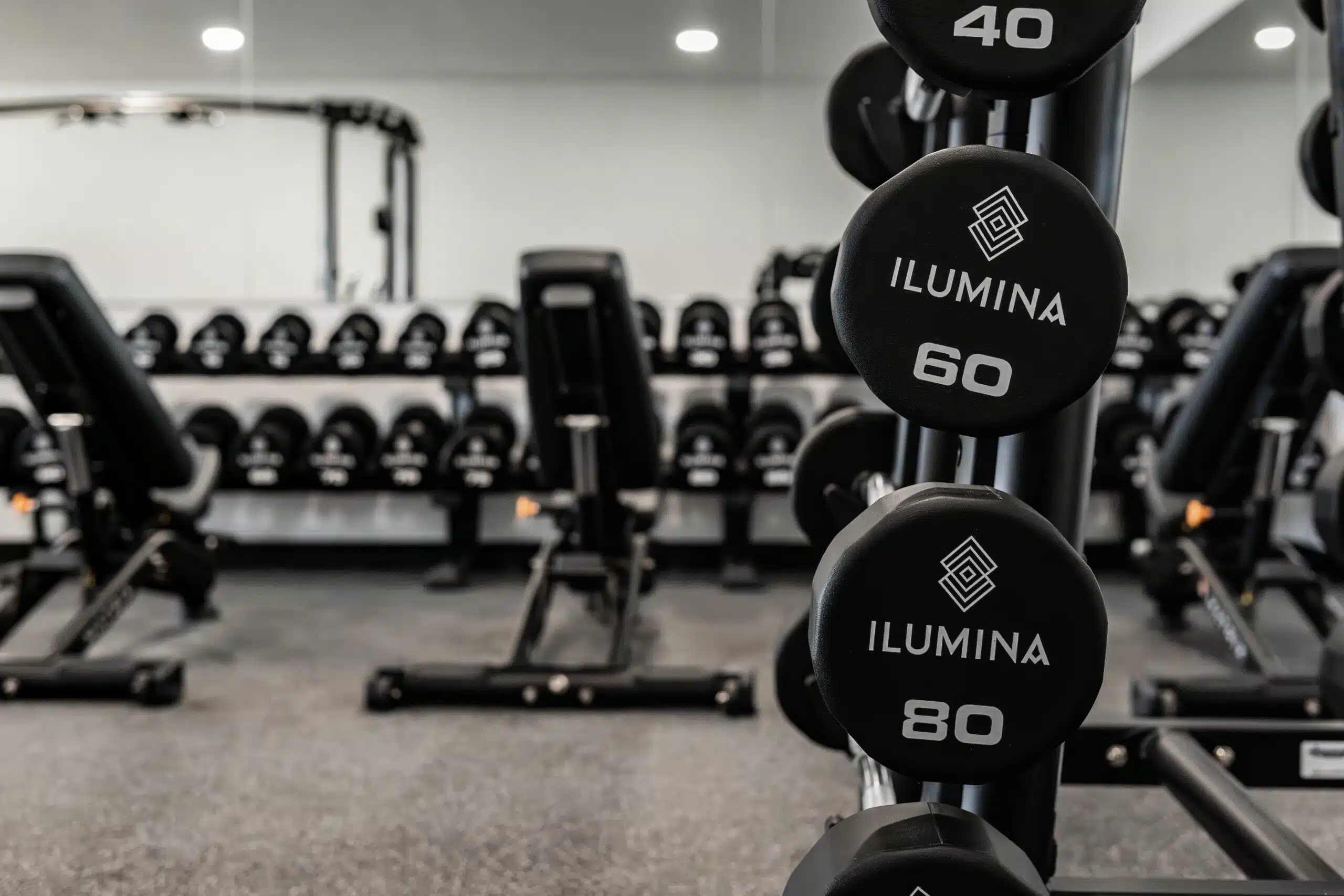 dumbells on a gym rack