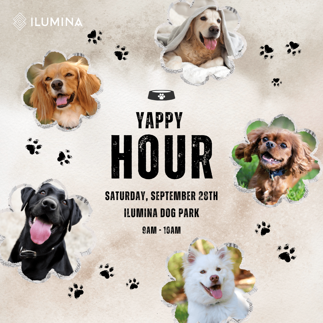 Yappy hour event